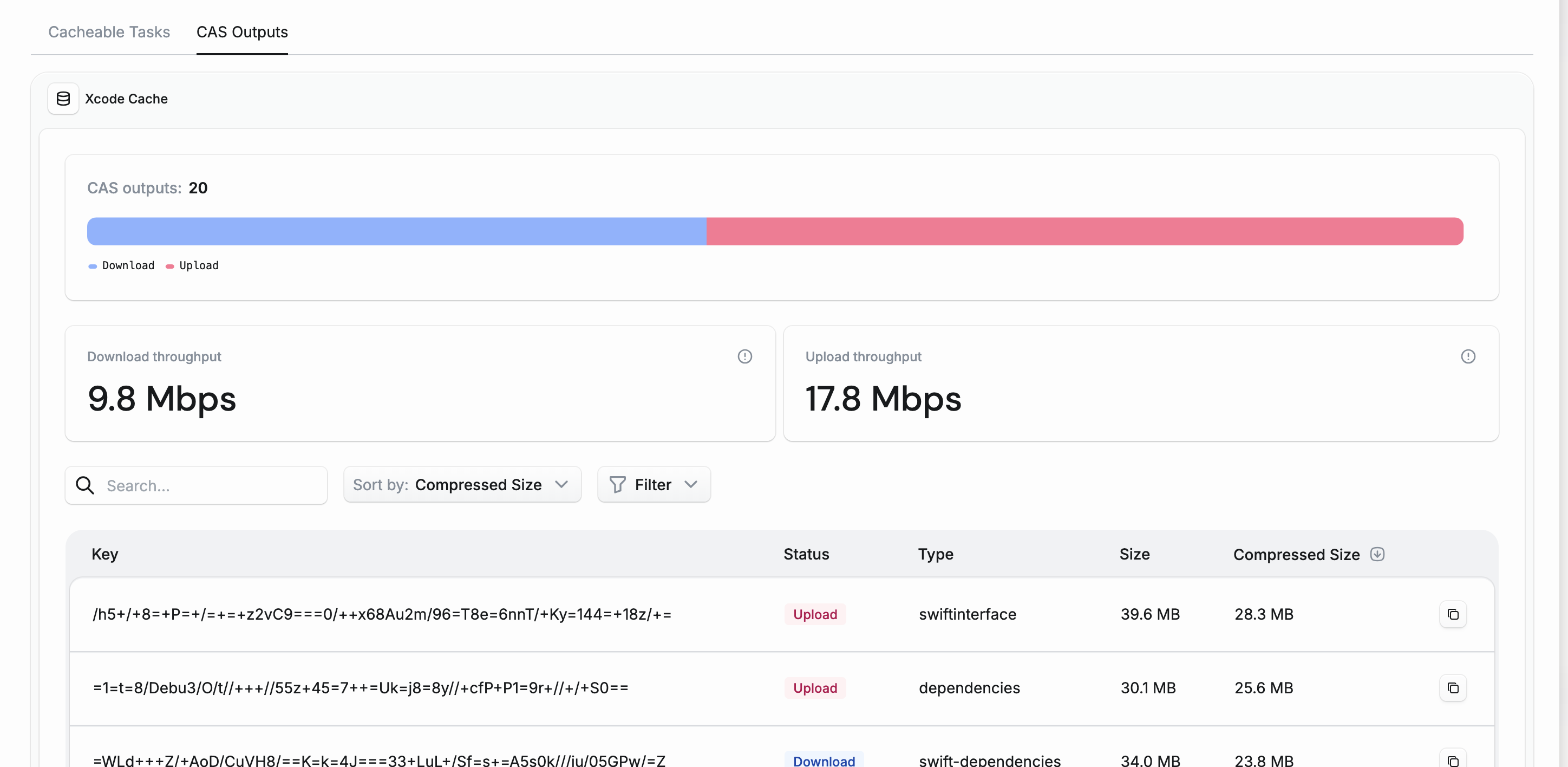 CAS Outputs tab showing throughput and storage details